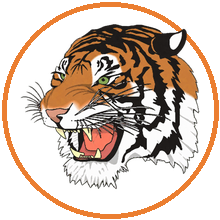 Washington Tigers mascot mark